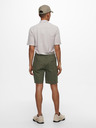 ONLY & SONS Leo Shorts