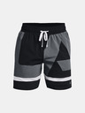 Under Armour UA Baseline Woven 7'' Shorts